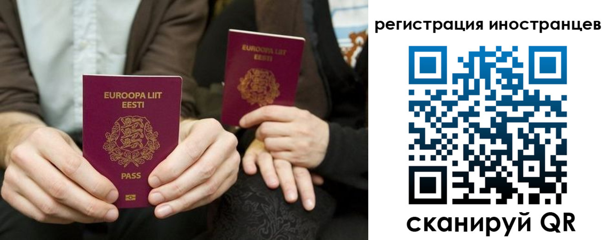 временная регистрация в Коле